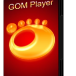Gom Player Plus 2.3.76.5340 Crack With Patch Free Download 2022